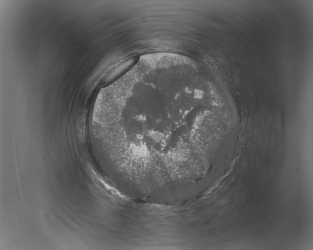 X0000080680194200701121708