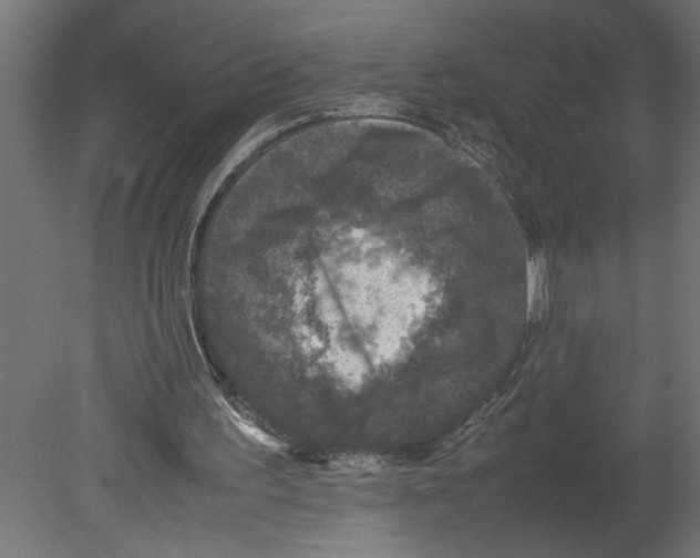 X0000080680195200701121708