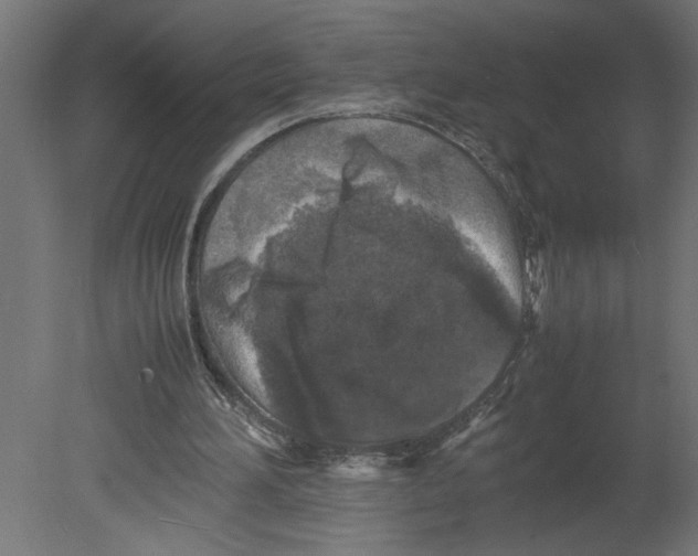 X0000080680196200701121708