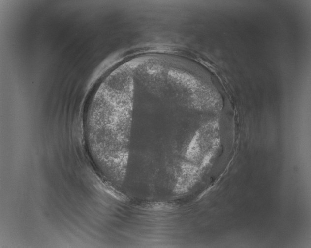 X0000080680198200701121707