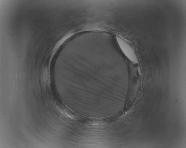 X0000080680200200701121707