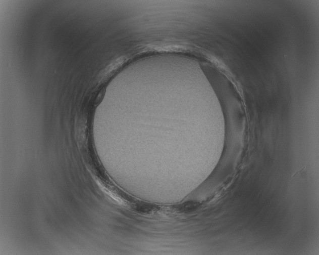 X0000080680201200701121707