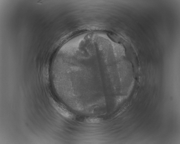 X0000080680202200701121707