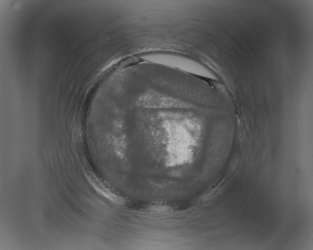 X0000080680203200701121707