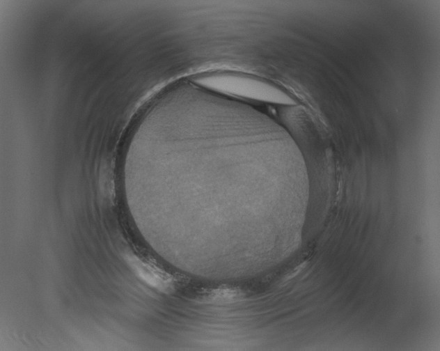 X0000080680204200701121707