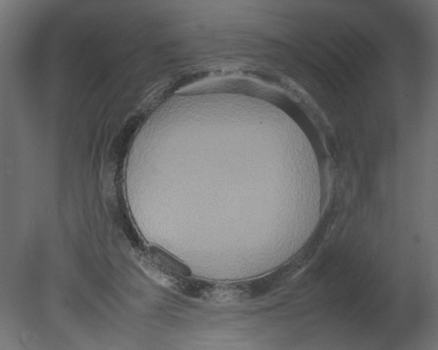 X0000080680209200701121707