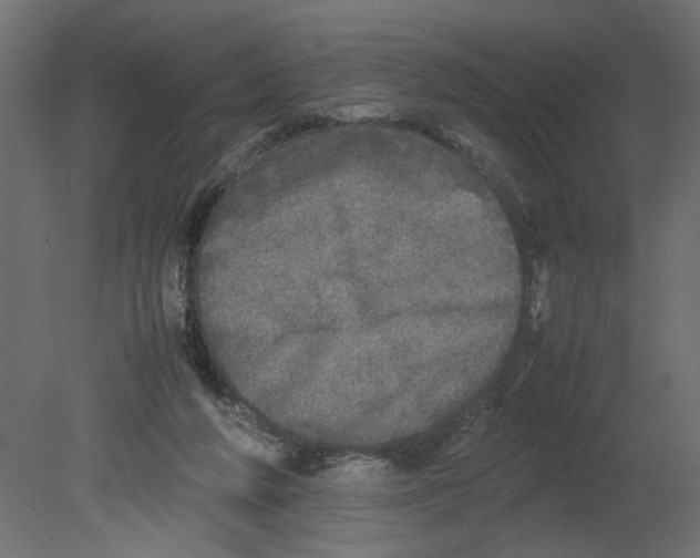 X0000080680210200701121707