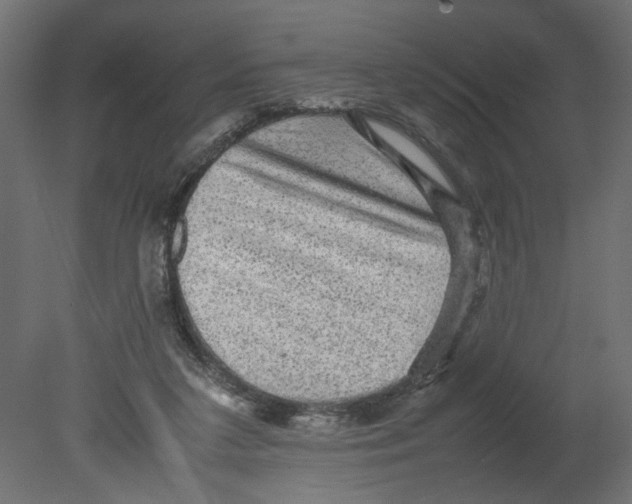 X0000080680211200701121707