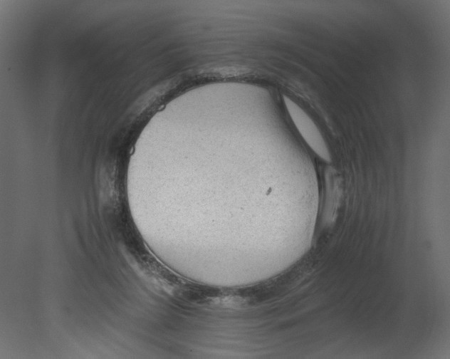 X0000080680212200701121707