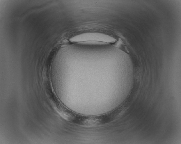 X0000080680213200701121707