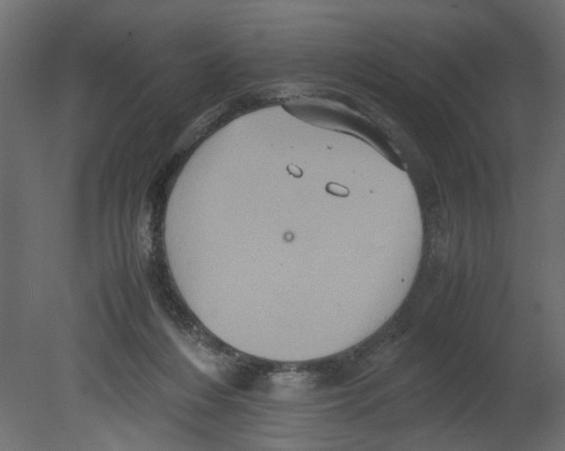 X0000080680216200701121707