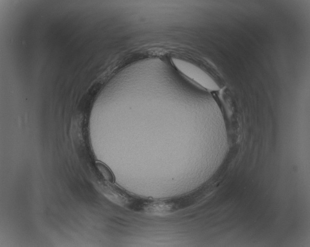 X0000080680217200701121707