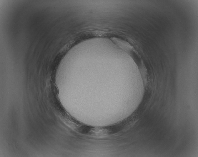 X0000080680221200701121707