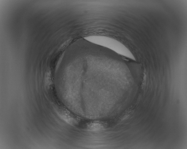 X0000080680224200701121707