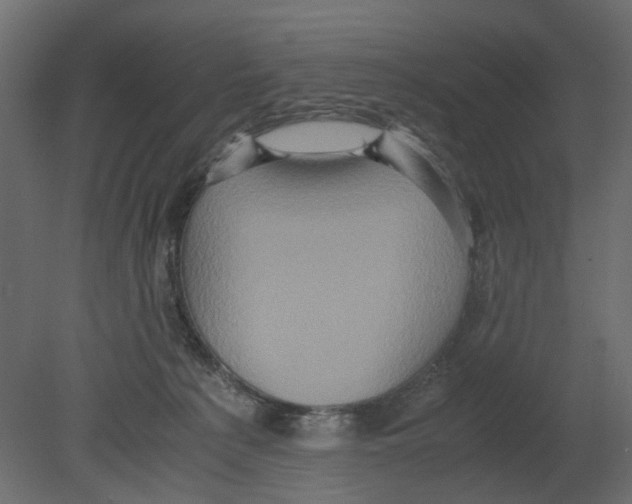 X0000080680225200701121707