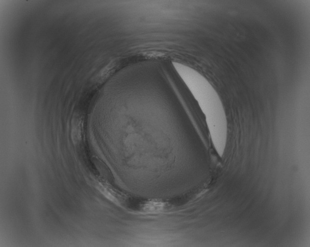 X0000080680227200701121707