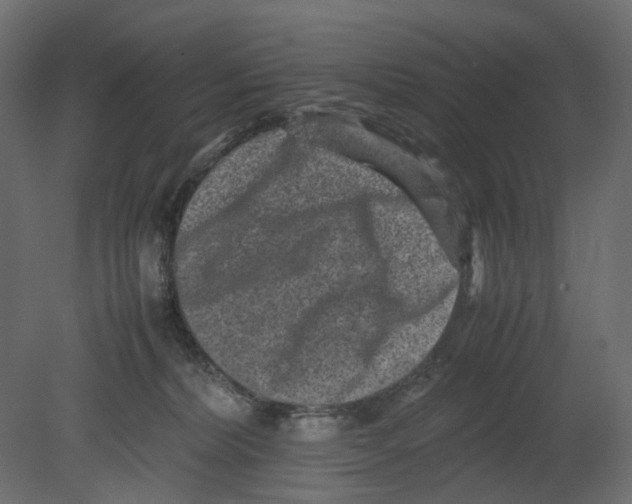 X0000080680228200701121707