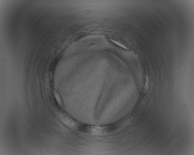 X0000080680229200701121707