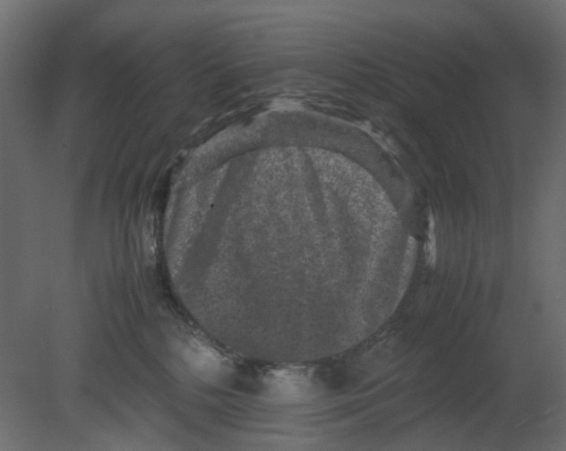 X0000080680232200701121707