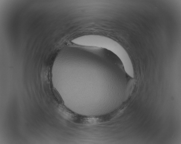 X0000080680233200701121707