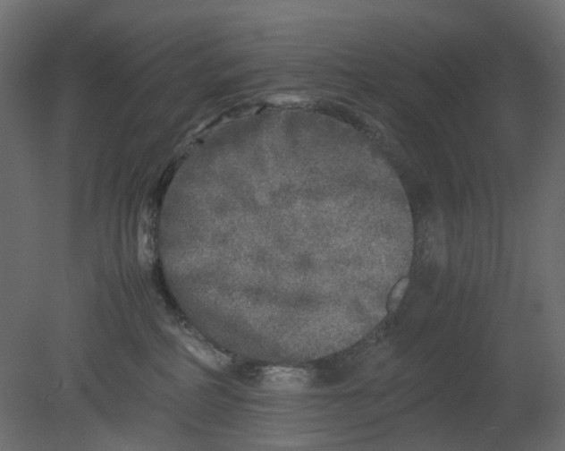 X0000080680234200701121707