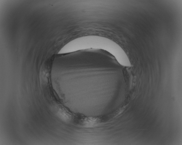 X0000080680235200701121707