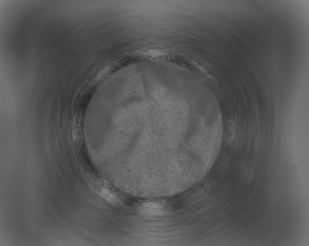 X0000080680236200701121707