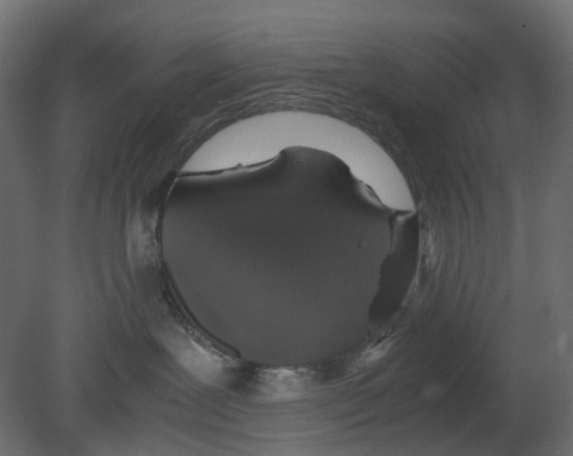 X0000080680239200701121707