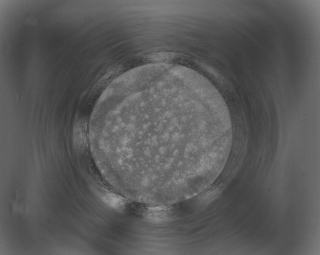 X0000080680240200701121707