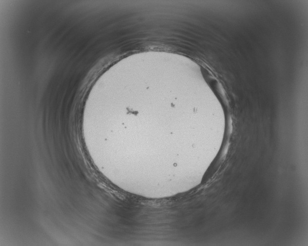 X0000080680241200701121706