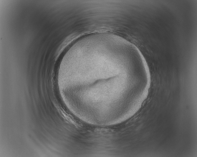 X0000080680242200701121706