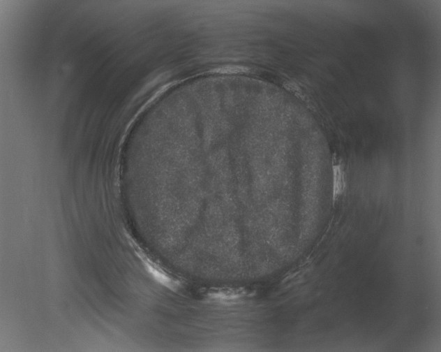 X0000080680243200701121706