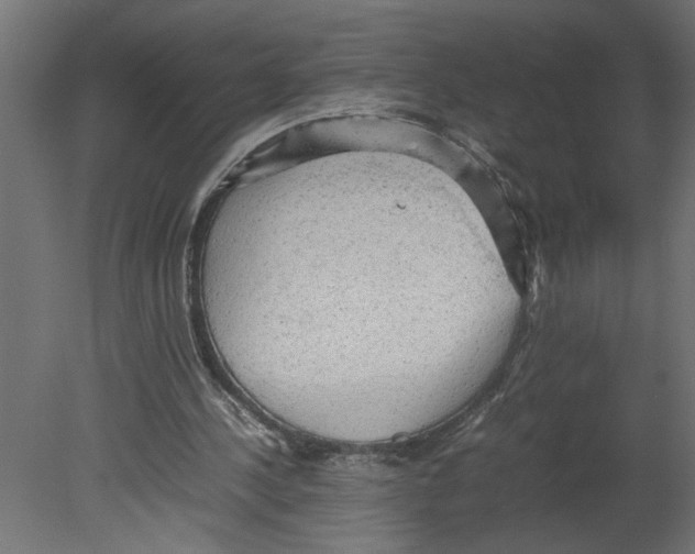 X0000080680244200701121706