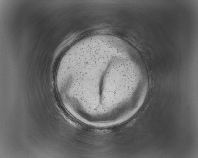 X0000080680245200701121706