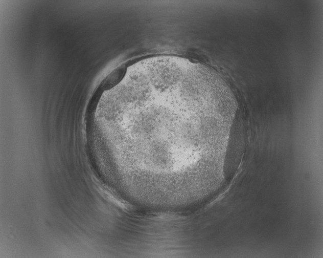 X0000080680246200701121706