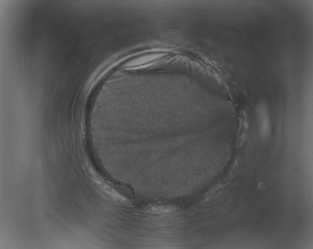 X0000080680247200701121706