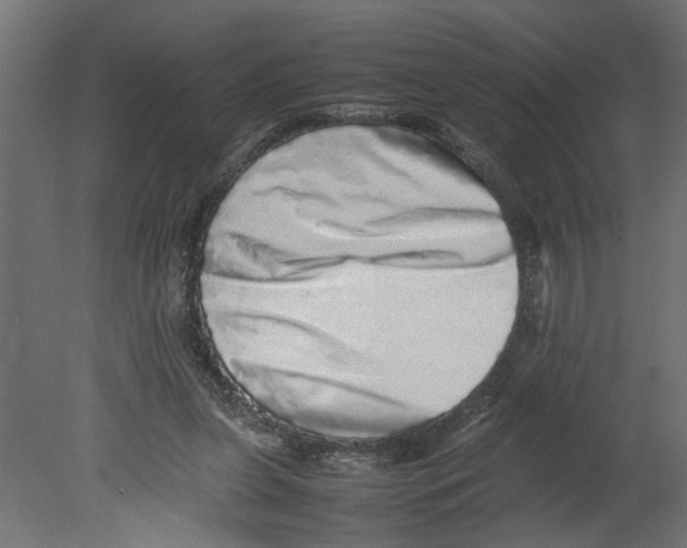 X0000080680255200701121706