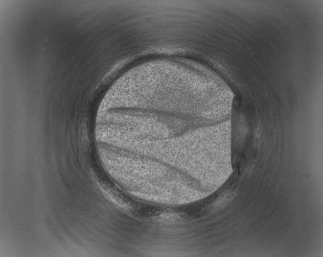 X0000080680256200701121706