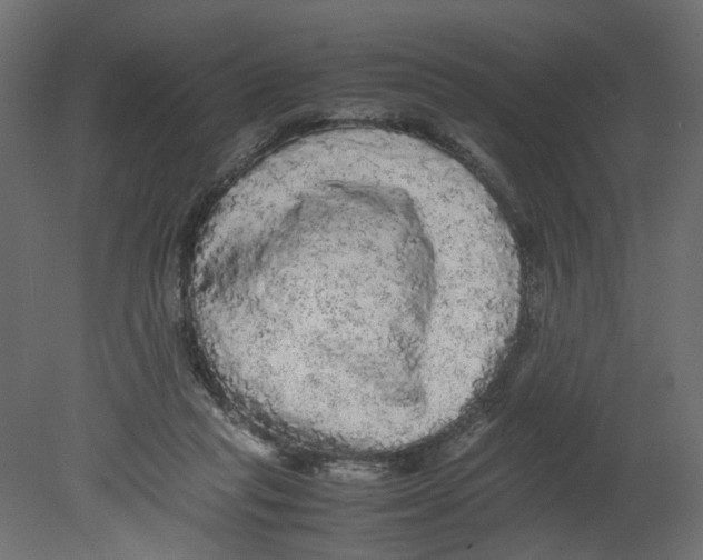 X0000080680261200701121706