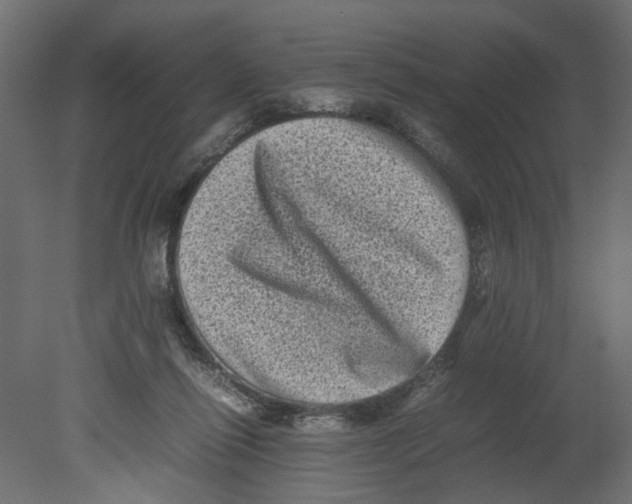 X0000080680262200701121706