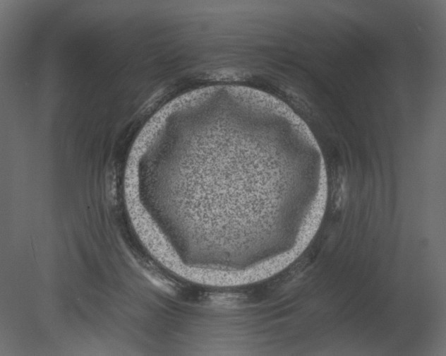 X0000080680268200701121706