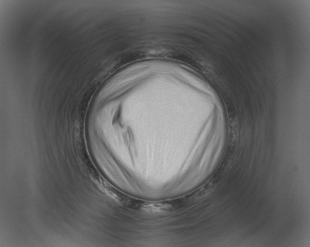 X0000080680269200701121706