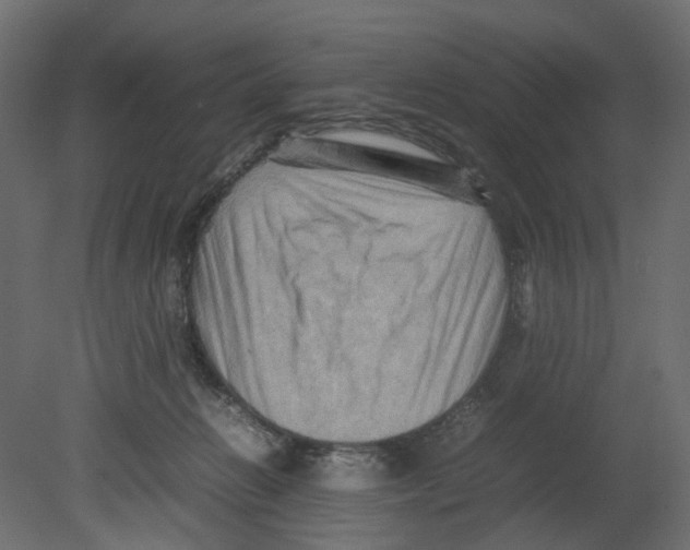 X0000080680270200701121706