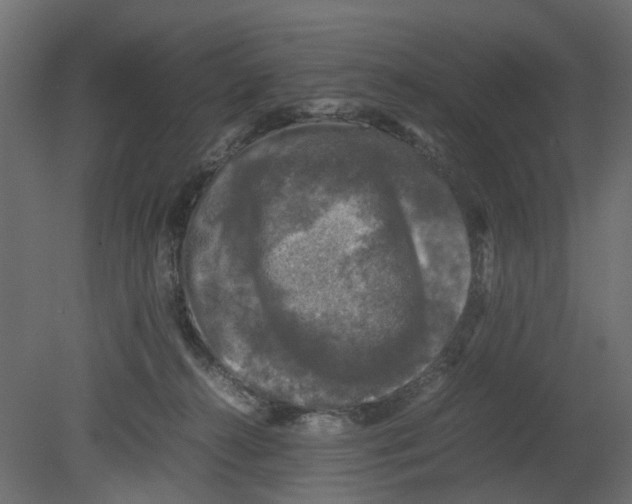 X0000080680272200701121706