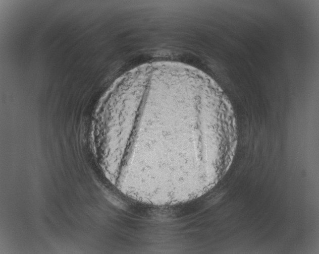 X0000080680273200701121706