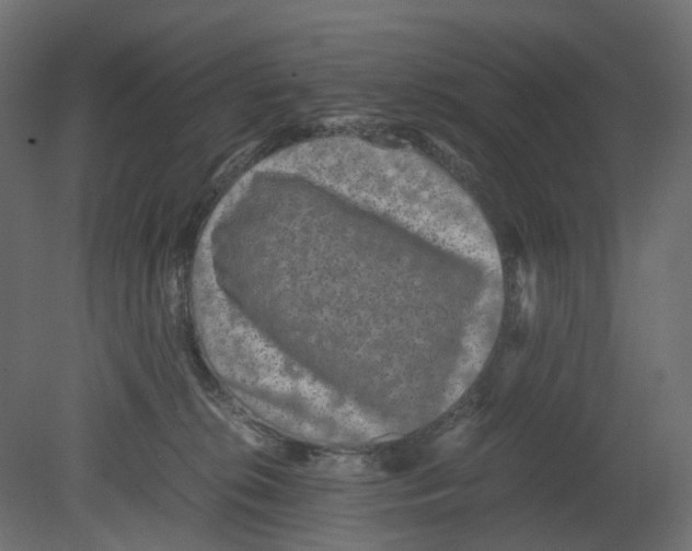 X0000080680276200701121707