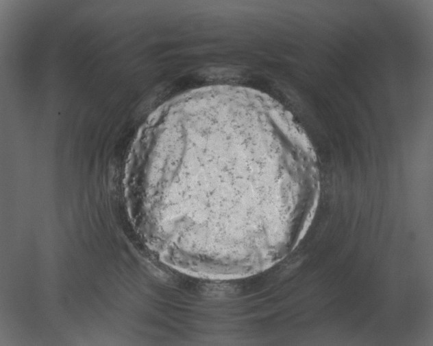 X0000080680281200701121707