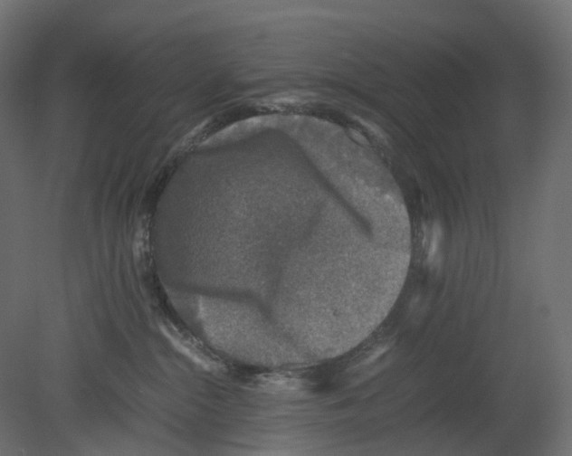 X0000080680284200701121707