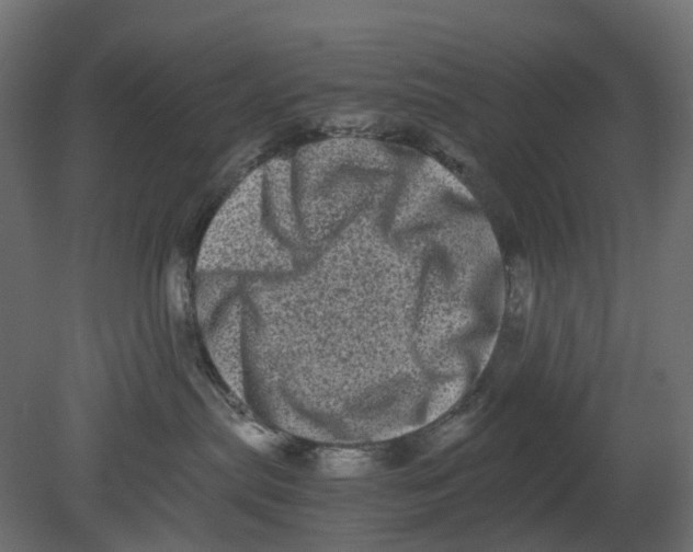 X0000080680287200701121707