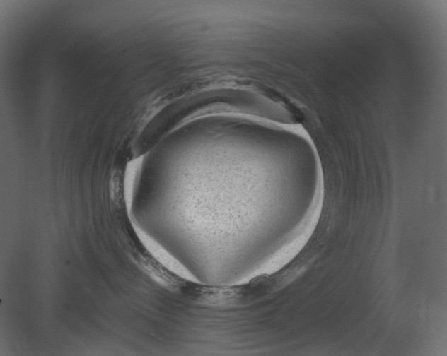 X0000080680288200701121707